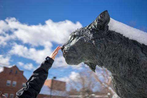 学生摸着野猫雕像的鼻子